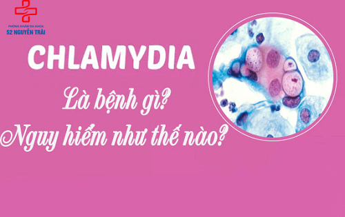 chlamydia là gì