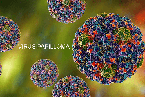 siêu vi trùng papilloma