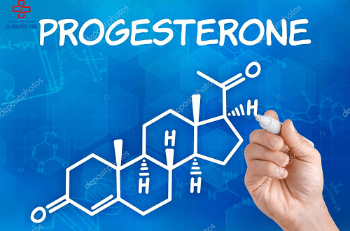 progesterone là gì